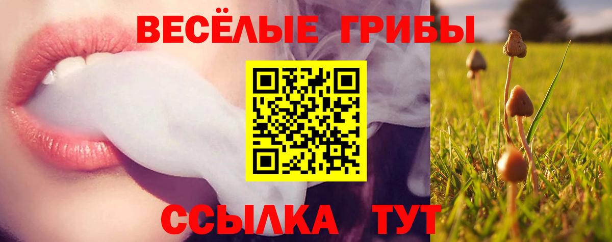 Экстази Каменск-Шахтинский